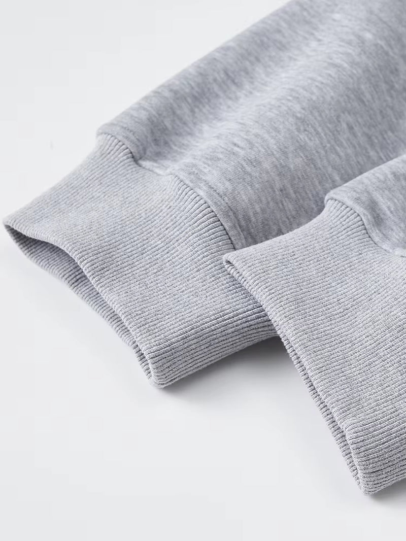 Classic Light Gray Zip - up Hooded Sweatshirt: Minimalist Style, Premium Fleece Lining, Essential for Everyday & Streetwear