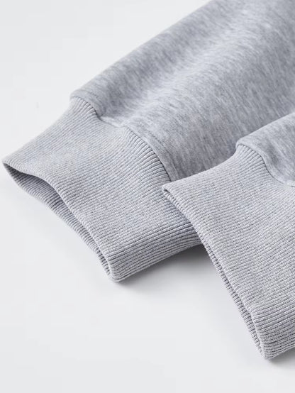 Classic Light Gray Zip - up Hooded Sweatshirt: Minimalist Style, Premium Fleece Lining, Essential for Everyday & Streetwear